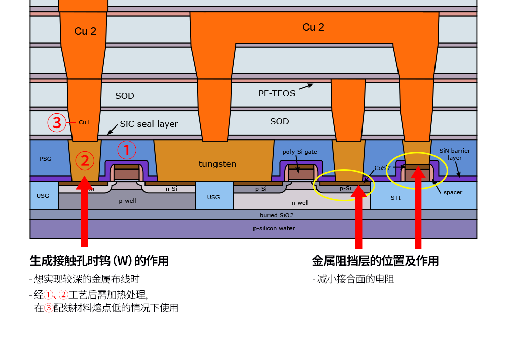 半导体前端工艺｜第六篇（完结篇）：金属布线——为半导体注入生命的连接