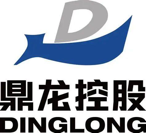 DIC 2024展商丨鼎龙股份,聚焦材料创新对标国际高端 - 展会新闻 - 【官网】2025DIC EXPO显示展|励程展览|上海励程展览有限 ...