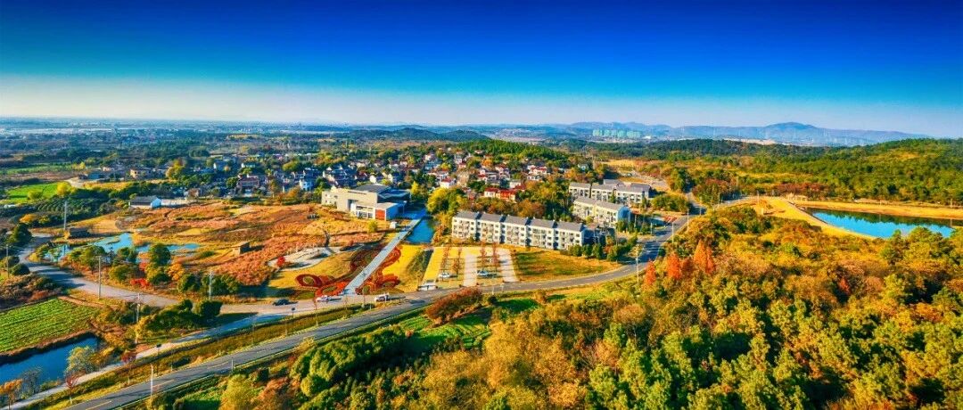 总投资5.3亿，高硼硅玻璃基板生产基地及研发总部基地项目签约落户南京溧水